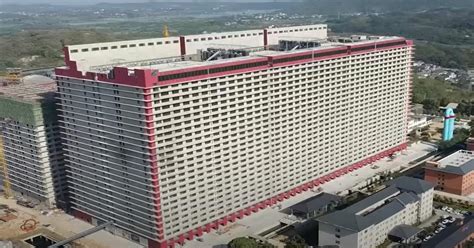 china hog hotel